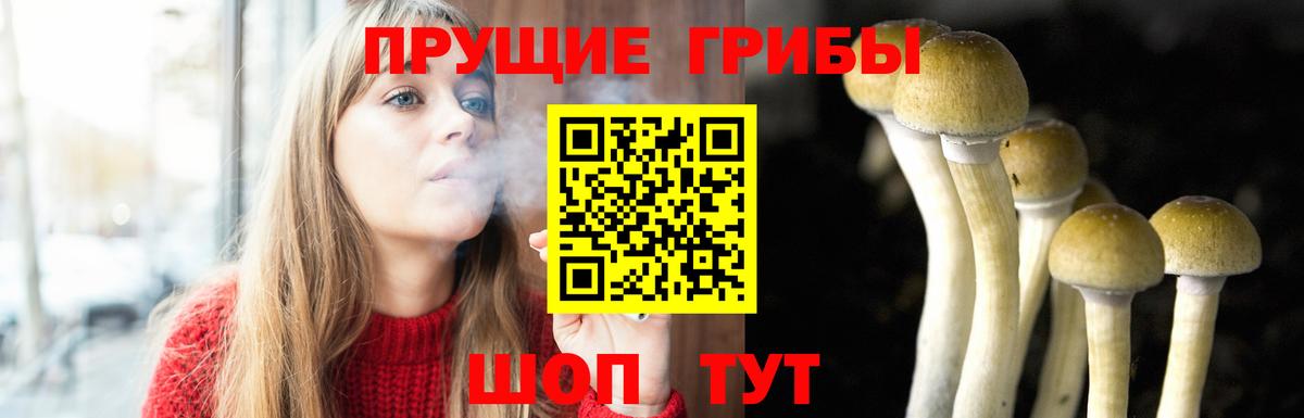 Новосибирск  Псилоцибиновые грибы мухоморы  Вход с VPN 